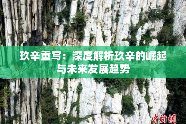 玖辛重写：深度解析玖辛的崛起与未来发展趋势