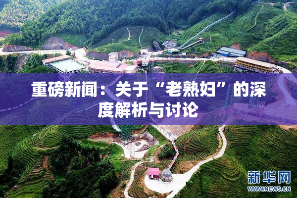 重磅新闻：关于“老熟妇”的深度解析与讨论