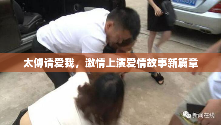太傅请爱我，激情上演爱情故事新篇章