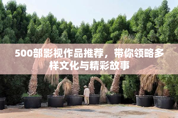 500部影视作品推荐，带你领略多样文化与精彩故事