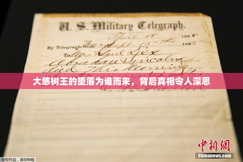 大慈树王的堕落为谁而来，背后真相令人深思
