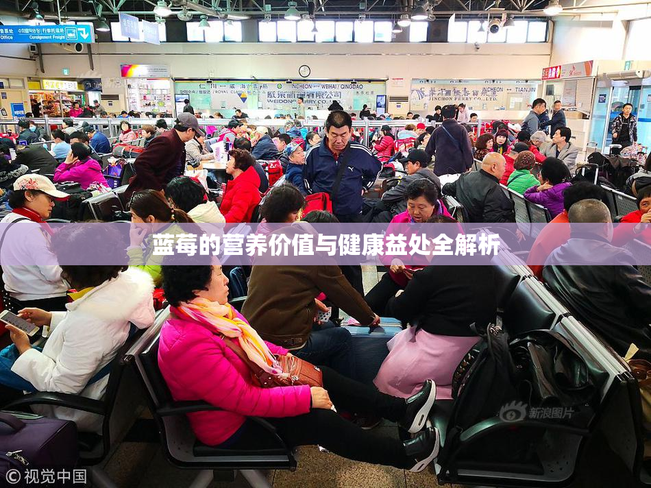 蓝莓的营养价值与健康益处全解析