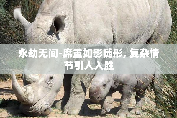 永劫无间-席重如影随形, 复杂情节引人入胜