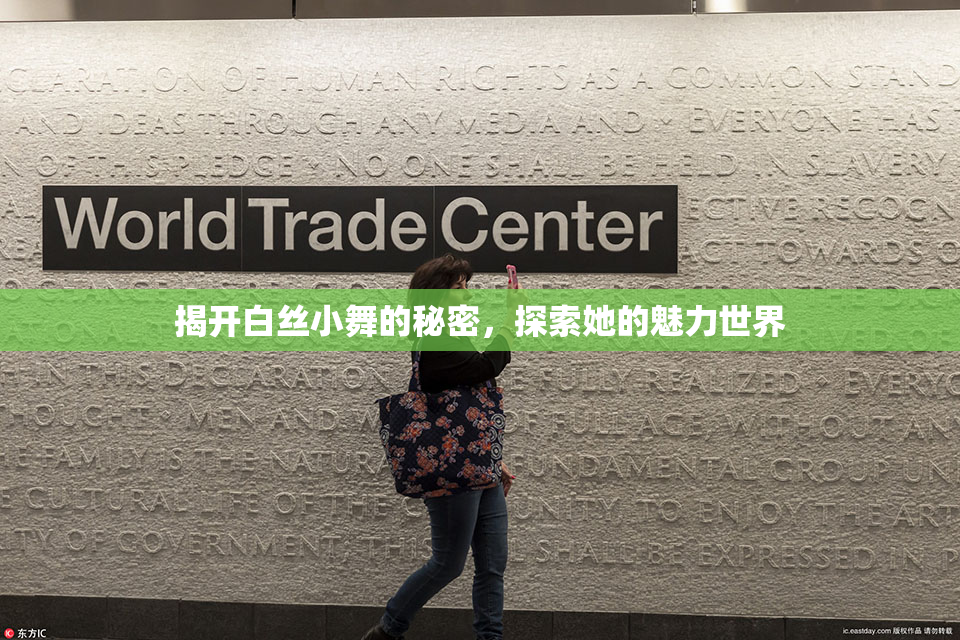 揭开白丝小舞的秘密，探索她的魅力世界