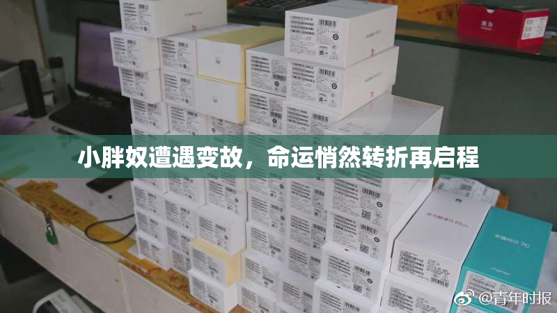 小胖奴遭遇变故，命运悄然转折再启程