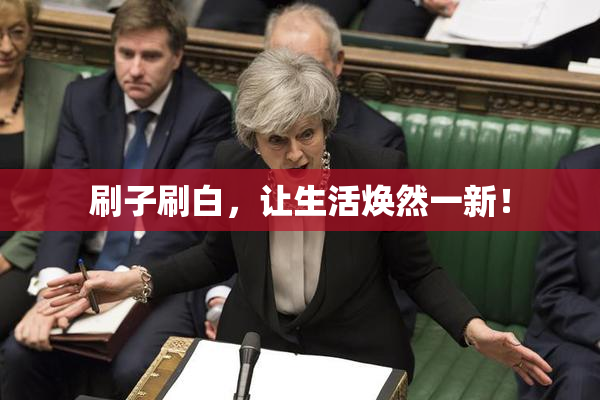 刷子刷白，让生活焕然一新！