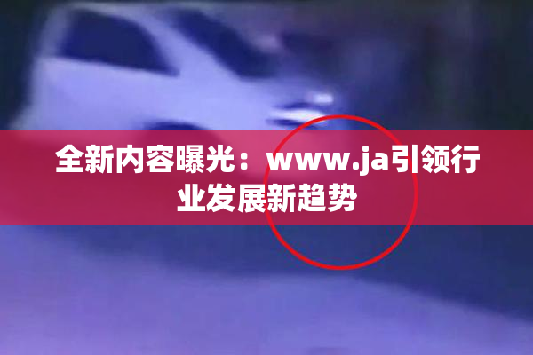 全新内容曝光：www.ja引领行业发展新趋势