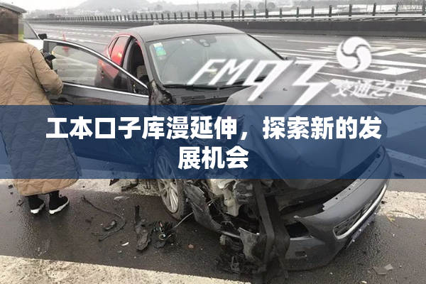 工本口子库漫延伸，探索新的发展机会