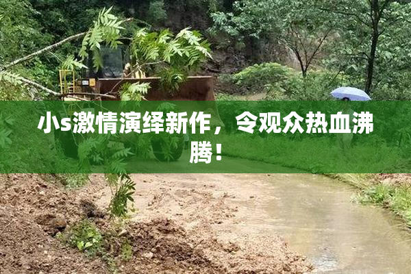 小s激情演绎新作，令观众热血沸腾！