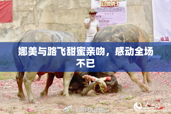 娜美与路飞甜蜜亲吻，感动全场不已