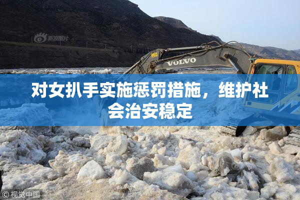对女扒手实施惩罚措施，维护社会治安稳定