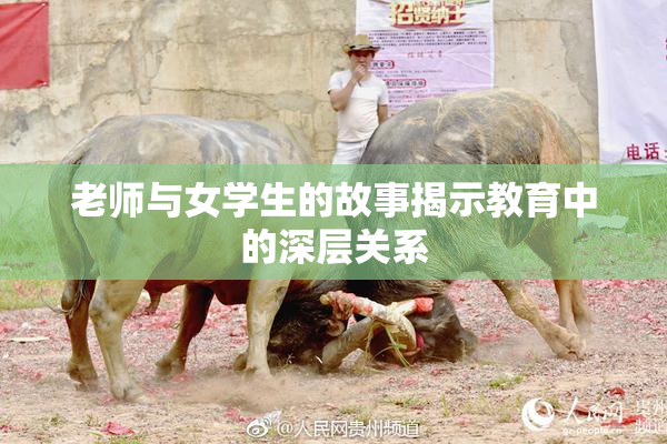 老师与女学生的故事揭示教育中的深层关系