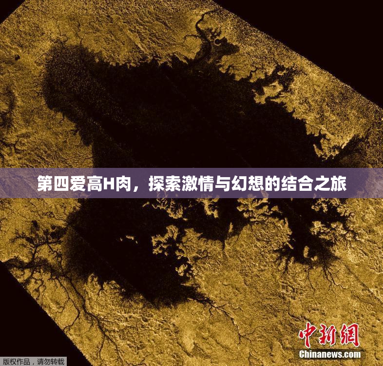 第四爱高H肉，探索激情与幻想的结合之旅
