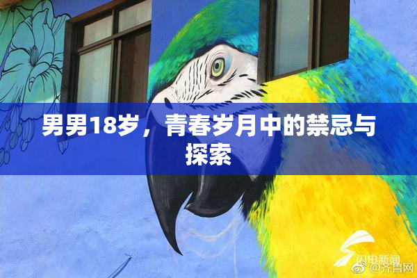 男男18岁，青春岁月中的禁忌与探索