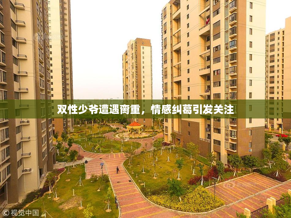 双性少爷遭遇脔重，情感纠葛引发关注