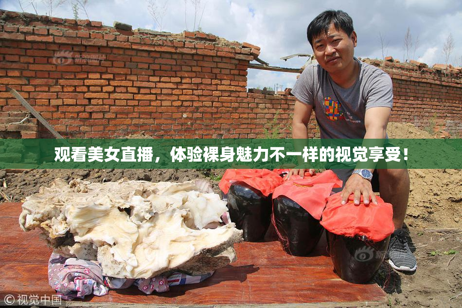 观看美女直播，体验裸身魅力不一样的视觉享受！