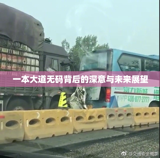一本大道无码背后的深意与未来展望