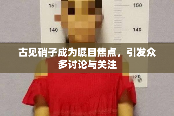 古见硝子成为瞩目焦点，引发众多讨论与关注