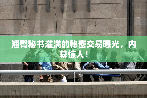 翘臀秘书灌满的秘密交易曝光，内幕惊人！