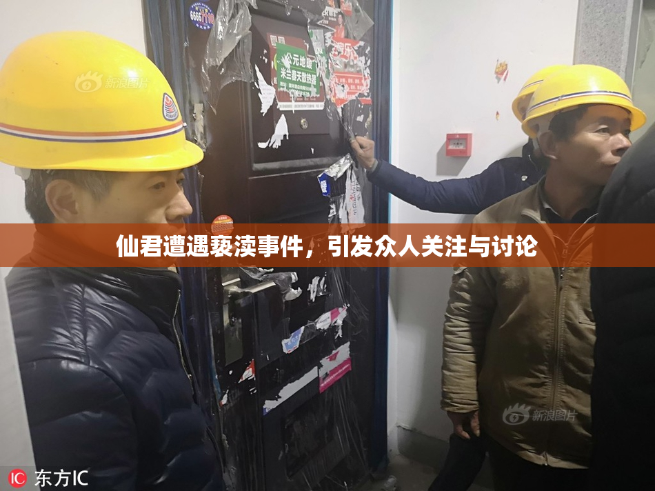 仙君遭遇亵渎事件，引发众人关注与讨论