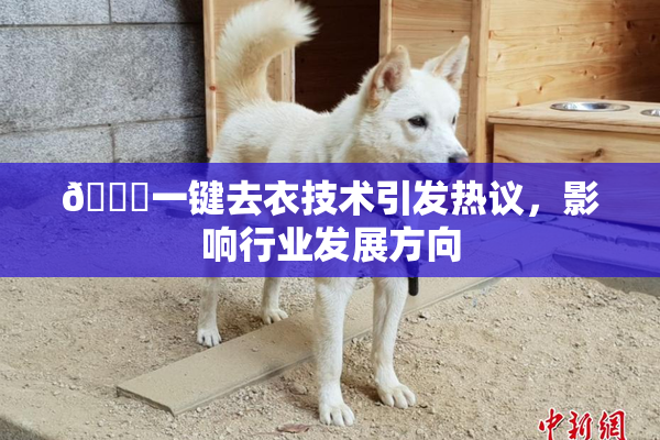 🔞一键去衣技术引发热议，影响行业发展方向