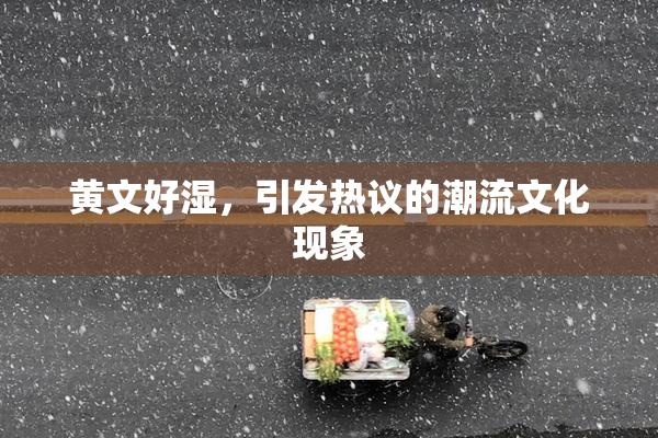 黄文好湿，引发热议的潮流文化现象