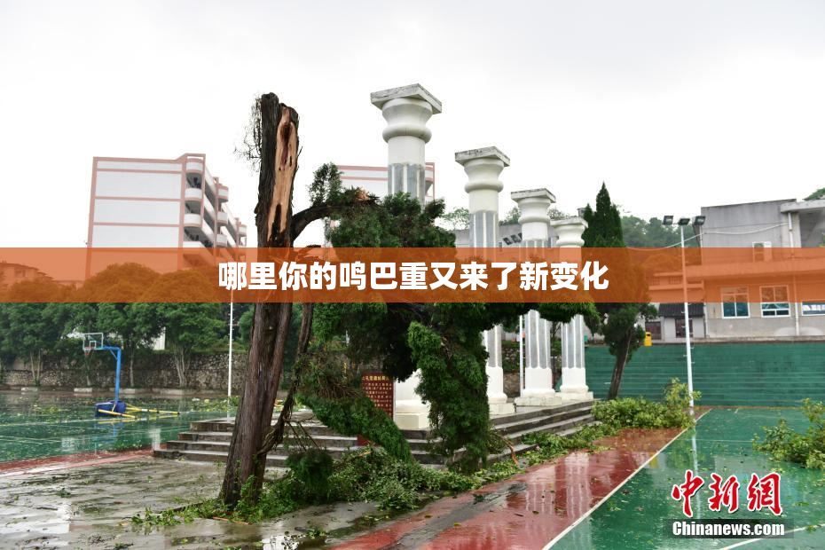 哪里你的鸣巴重又来了新变化