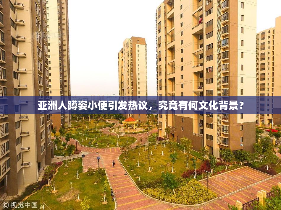 亚洲人蹲姿小便引发热议，究竟有何文化背景？