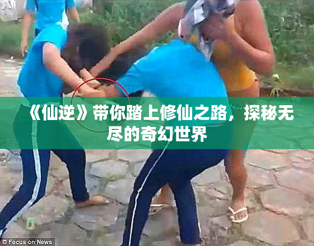 《仙逆》带你踏上修仙之路，探秘无尽的奇幻世界