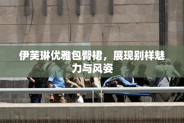 伊芙琳优雅包臀裙，展现别样魅力与风姿