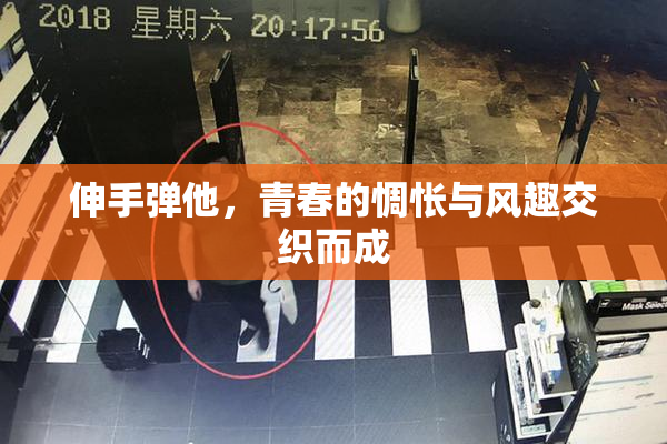伸手弹他，青春的惆怅与风趣交织而成
