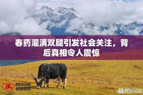 春药灌满双腿引发社会关注，背后真相令人震惊
