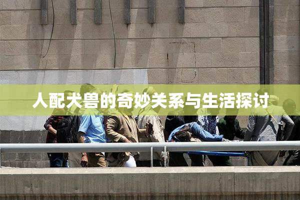 人配犬兽的奇妙关系与生活探讨