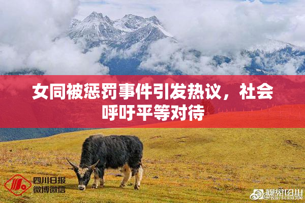 女同被惩罚事件引发热议，社会呼吁平等对待
