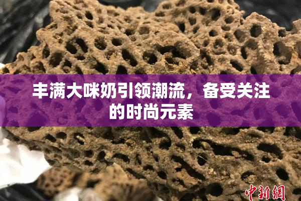 丰满大咪奶引领潮流，备受关注的时尚元素