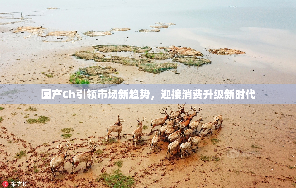 国产Ch引领市场新趋势，迎接消费升级新时代