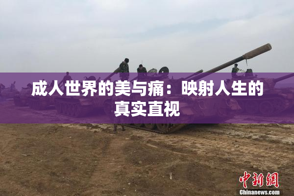 成人世界的美与痛：映射人生的真实直视