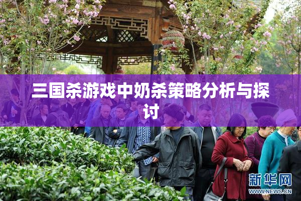 三国杀游戏中奶杀策略分析与探讨