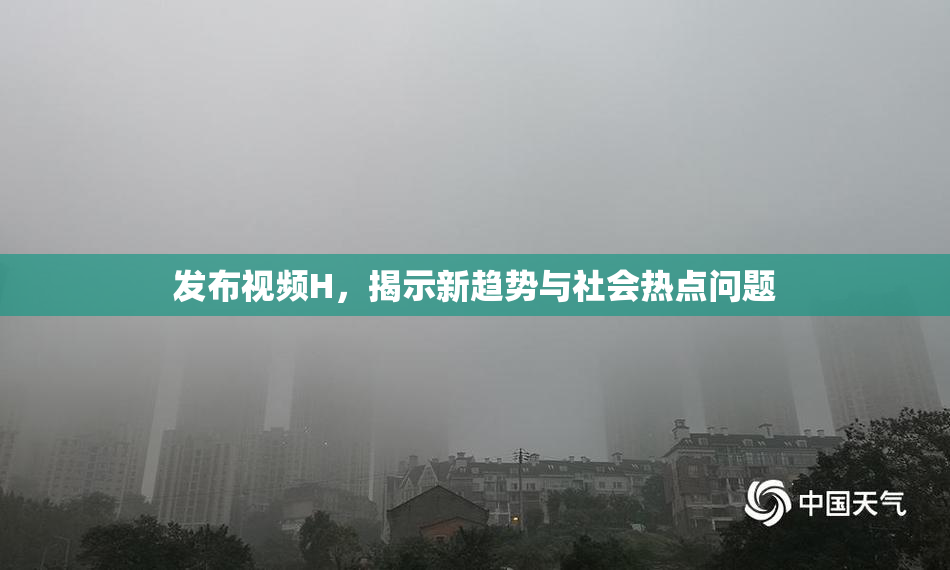 发布视频H，揭示新趋势与社会热点问题