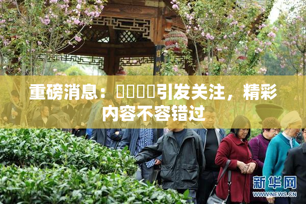 重磅消息：馃悢馃悢引发关注，精彩内容不容错过