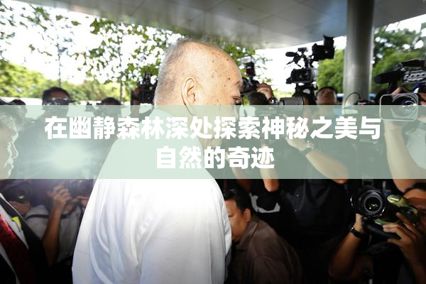 在幽静森林深处探索神秘之美与自然的奇迹