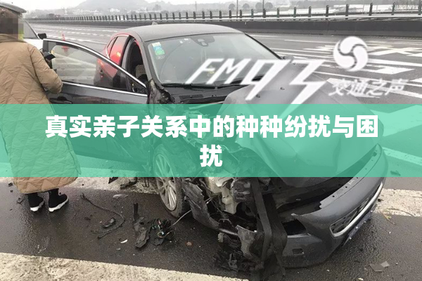 真实亲子关系中的种种纷扰与困扰