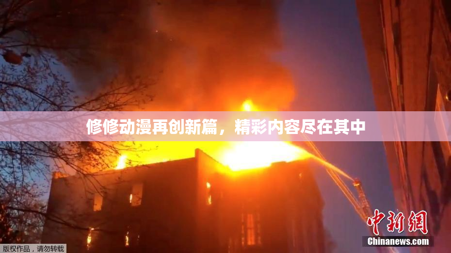 修修动漫再创新篇，精彩内容尽在其中