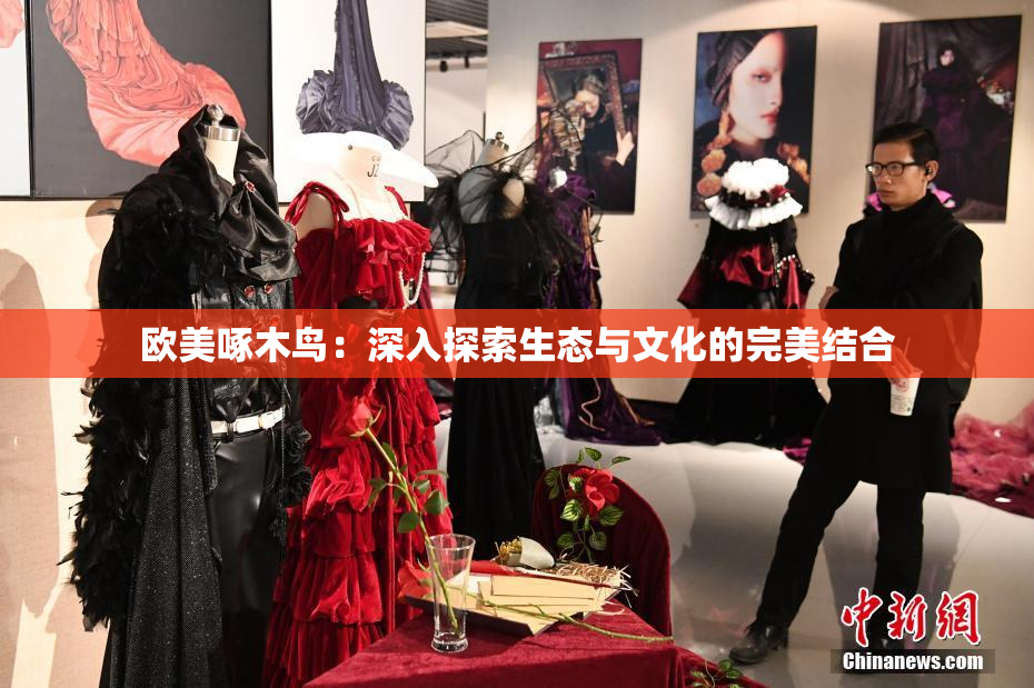 欧美啄木鸟：深入探索生态与文化的完美结合