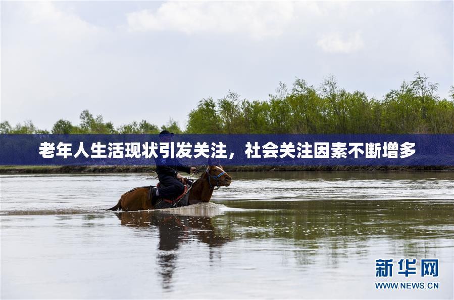 老年人生活现状引发关注，社会关注因素不断增多