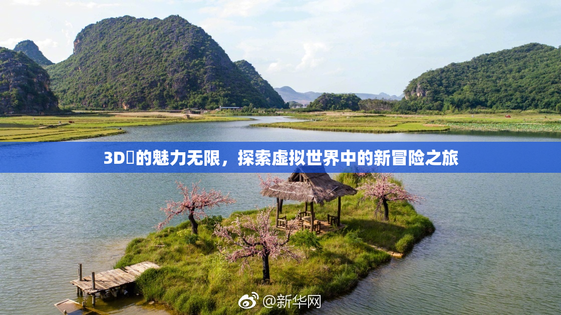 3D姉的魅力无限，探索虚拟世界中的新冒险之旅