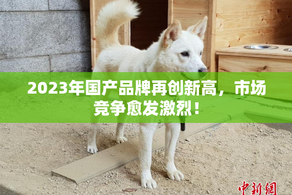 2023年国产品牌再创新高，市场竞争愈发激烈！