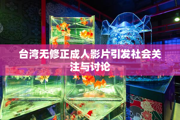 台湾无修正成人影片引发社会关注与讨论