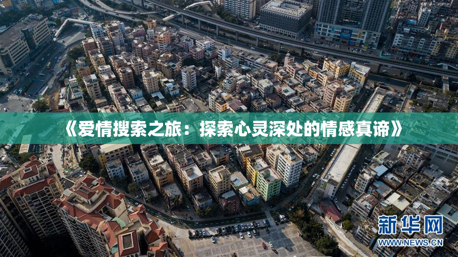 《爱情搜索之旅：探索心灵深处的情感真谛》
