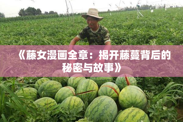 《藤女漫画全章：揭开藤蔓背后的秘密与故事》